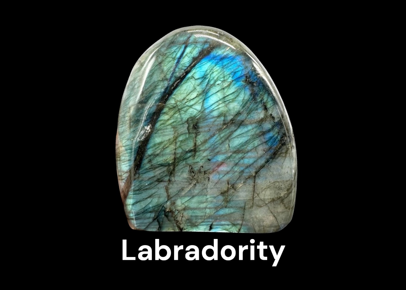 Labradority